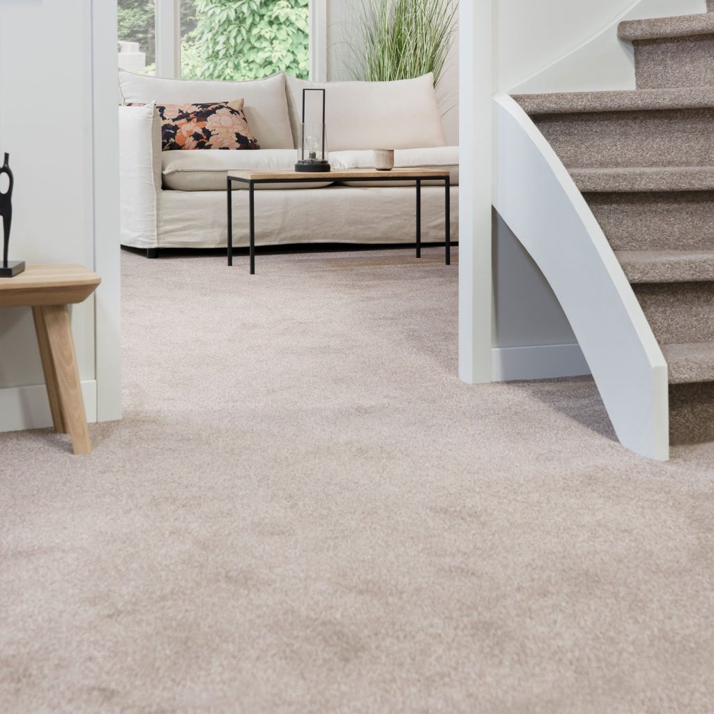 Carpet: From Comfort to Contention – Exploring the World of Fibers