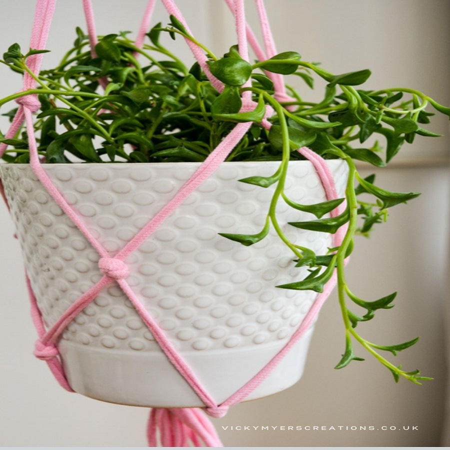 DIY Plant Hanger Guide for Eco-Friendly Decor