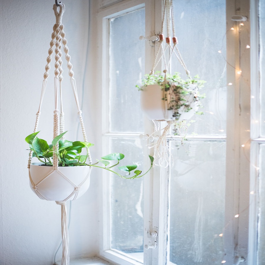 diy plant hanger