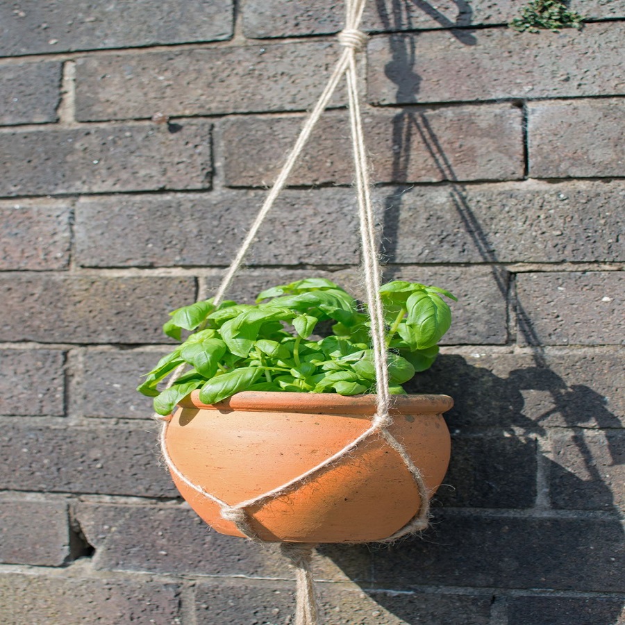 step by step rope plant hanger diy