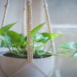 DIY Rope Plant Hanger: Step-By-Step Guide