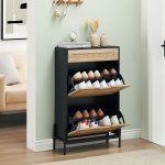 Shoe Cabinet Storage